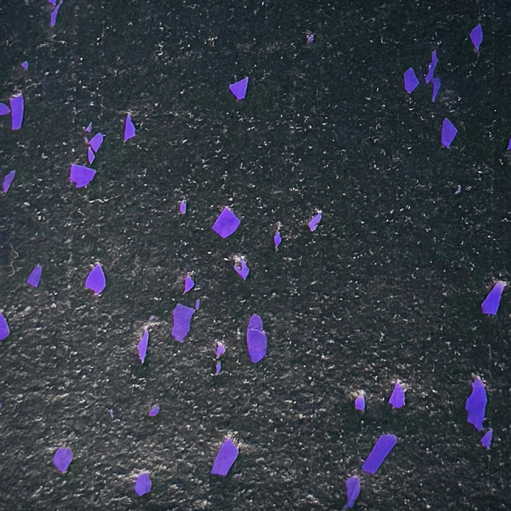 Cap Locking Rubber Tiles Purple 6209